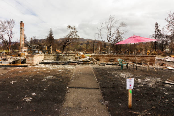 Top property restoration companies in Connecticut