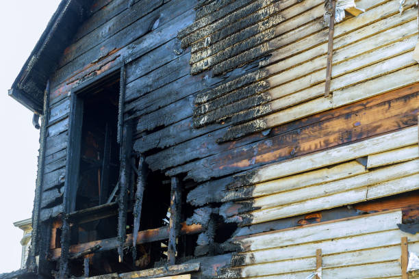 What is the most trusted mold remediation company in Connecticut?
