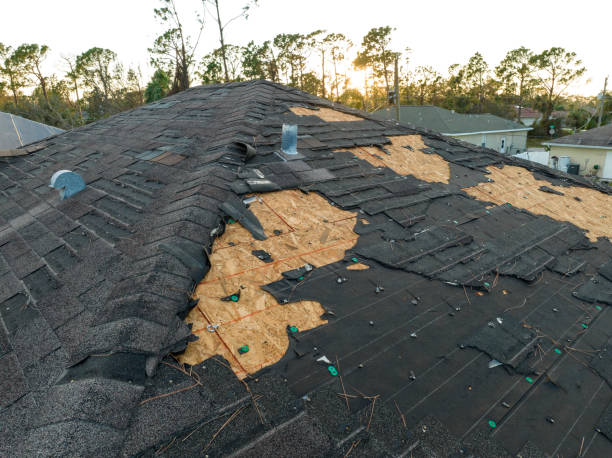 What is the best property restoration company for water damage in Connecticut?
