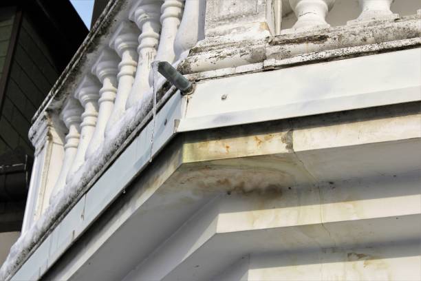 Learn the Ins and Outs of Hiring the Best Property Restorers in Connecticut