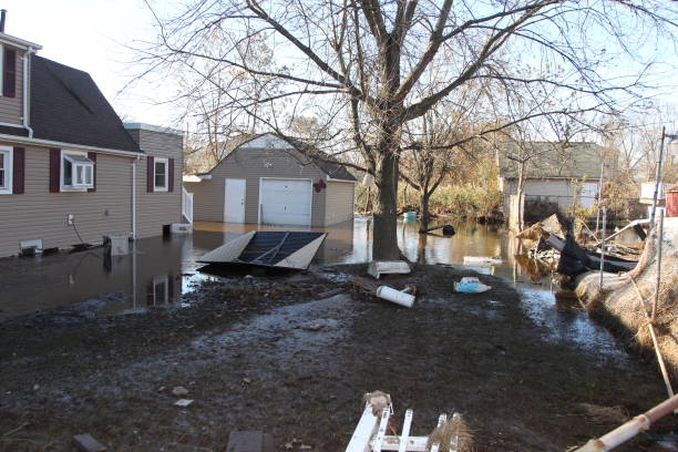 Services offered by leading property restoration companies in Connecticut
